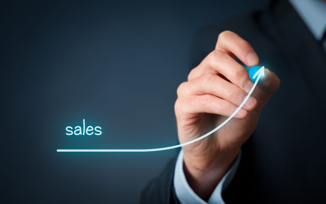 Sales manager: who he is and what he does