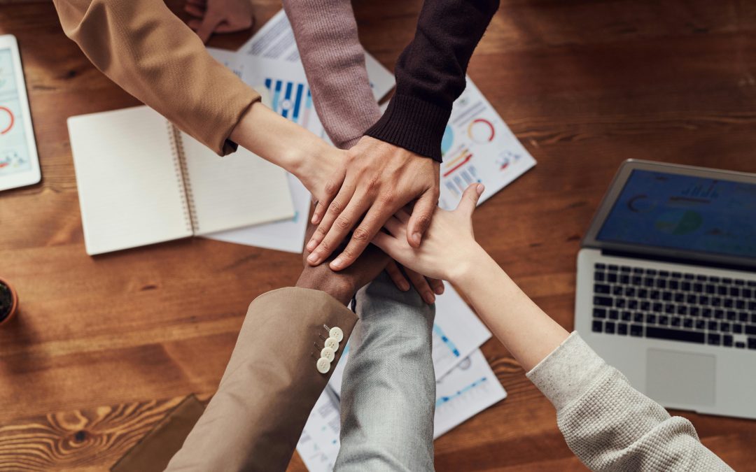 D&I manager: chi è e cosa fa